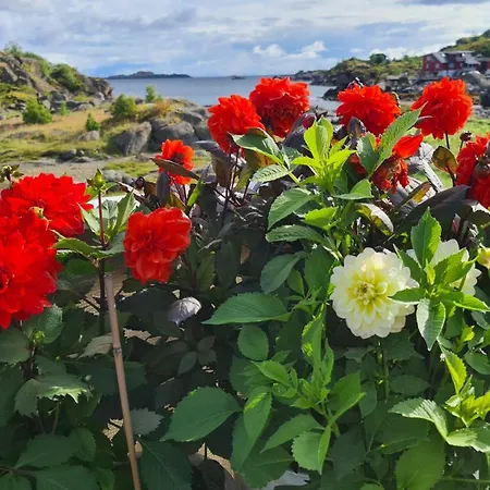 Cosy By The Sea, Ballstad * Jerstad